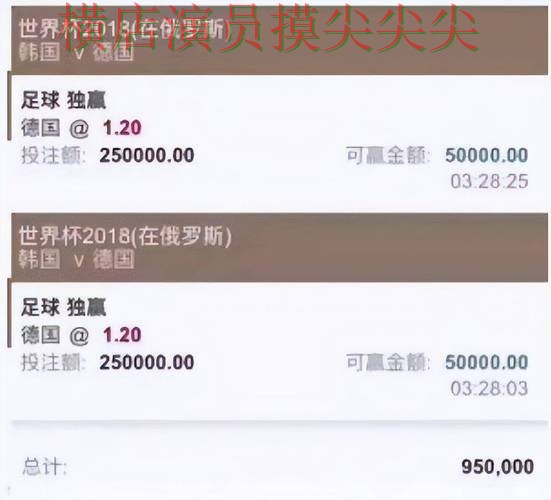 世界杯买球平台揭秘合集：覆盖用户反馈+直播与入口方式 - 世界杯直播